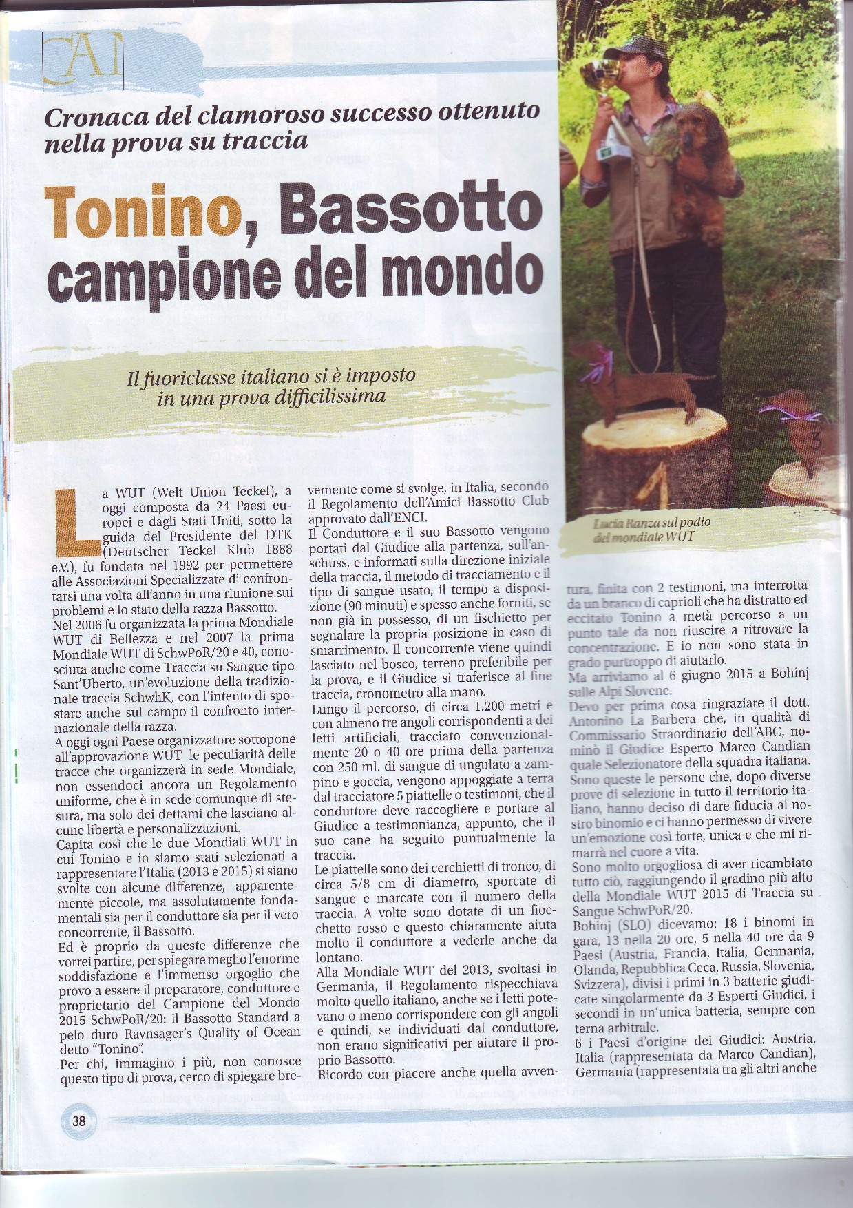 Bassotto-tonino_001_big