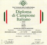 Diploma di Helga